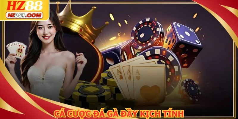 Cá cược chọi kê mang đến nhiều cảm xúc bất ngờ