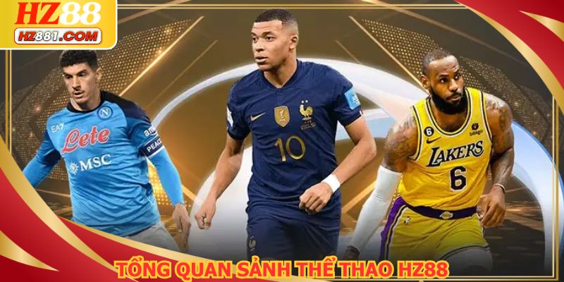 Tổng quan sảnh thể thao HZ88